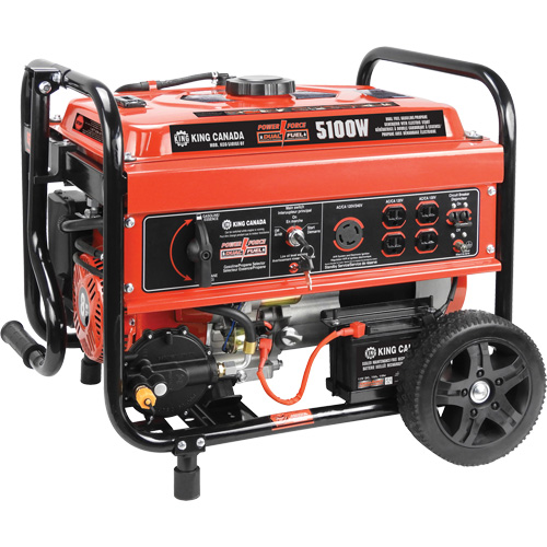 Gasoline/Propane Generator with Electric Start PB Rental Co. Ltd.