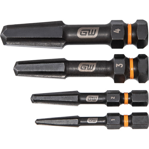 Bolt Biter Screw Extractor Set, High Speed Steel, 4 Pieces PB Rental Co. Ltd.