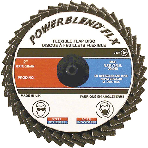 Disques &agrave; lamelles flexibles — pour acier/acier inoxydable/aluminium, 3" x Type R, Grain Z80, Alumine de zirconium PB Rental Co. Ltd.