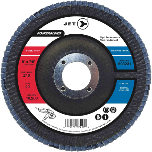 Disques &agrave; lamelles pour l'acier/acier inoxydable, 6" x 7/8", Type 29, Grain Z40, Zirconium PB Rental Co. Ltd.