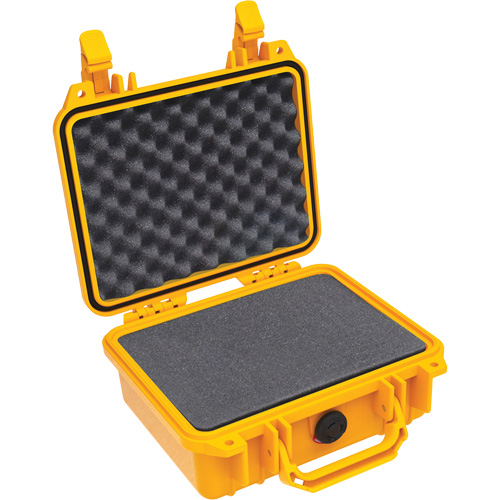 1200 Protector Case with Foam PB Rental Co. Ltd.