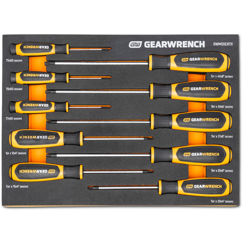 Jeu de tournevis bimat&eacute;riau Torx dans un plateau de rangement en mousse, 10 mcx PB Rental Co. Ltd.