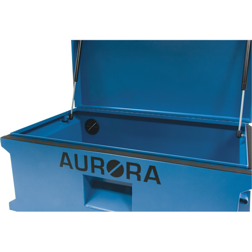 Coffre &agrave; outils de chantier, 33" x 20-3/10" x 18-3/10", Acier, Bleu PB Rental Co. Ltd.