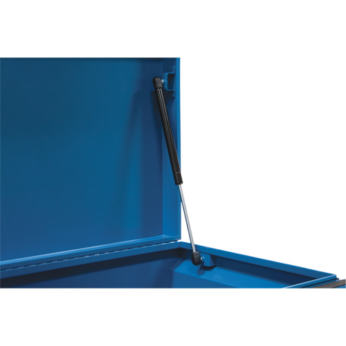 Coffre &agrave; outils de chantier, 33" x 20-3/10" x 18-3/10", Acier, Bleu PB Rental Co. Ltd.