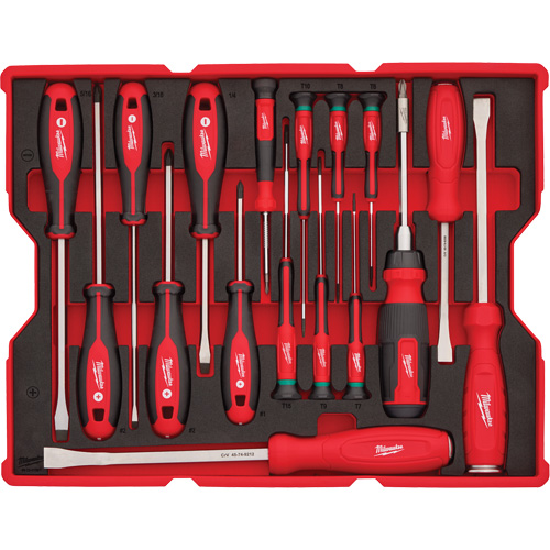 Jeu de tournevis et de leviers avec organisateur pour tiroirs PACKOUT, 17, Magn&eacute;tique PB Rental Co. Ltd.