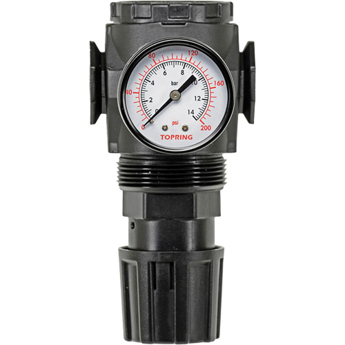 MODULAIR 300 Zinc Diaphragm Regulator, 3/8" NPT, 300 psi Max. PSI, In Line/Modular PB Rental Co. Ltd.