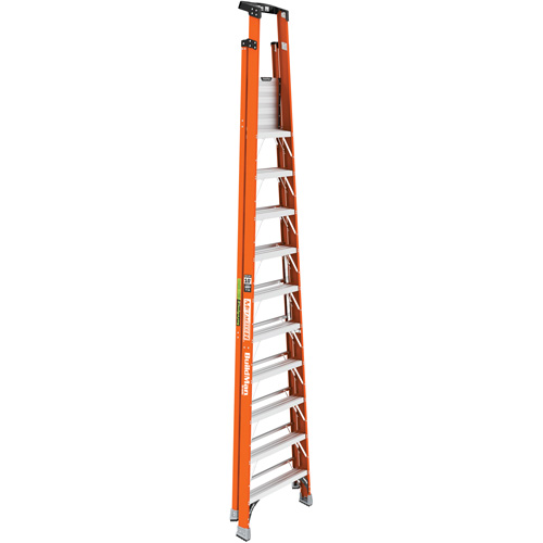 Safespace Platform Step Ladder, 10', 300 lbs. Cap. PB Rental Co. Ltd.