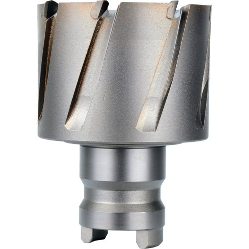 Fraise avec tenon &agrave; changement rapide Drive Hawg, Diam&egrave;tre de 2", Acier, Profondeur de la coupe de 1" PB Rental Co. Ltd.