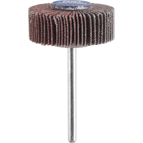 M&egrave;che de ponçage &agrave; roue &agrave; lamelles 3/8" - grain 120 PB Rental Co. Ltd.