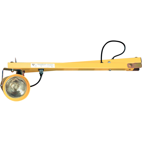 Dock Lights, 60" Arm, Incandescent Lamp, Metal PB Rental Co. Ltd.