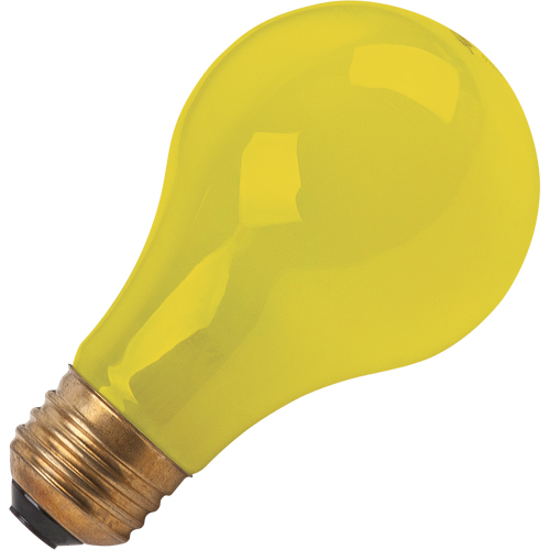 LAMPE INCANDESCENTE,BUG-LITE,60W,120V,2/PQT PB Rental Co. Ltd.