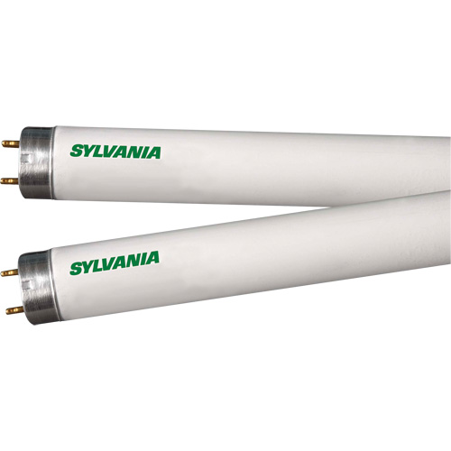 Lampes fluorescentes, 32 W, T8, 4100 K, Longueur de 48" PB Rental Co. Ltd.