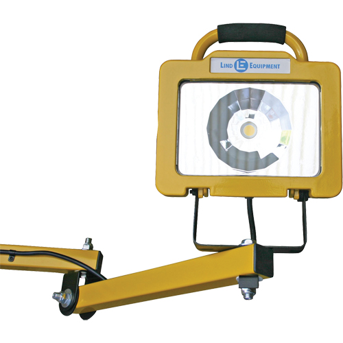 Heavy-Duty Dock Light, 40" Arm, 38 W, LED Lamp, Metal PB Rental Co. Ltd.