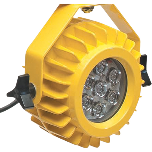 Heavy-Duty LED Dock Light - Head Only PB Rental Co. Ltd.
