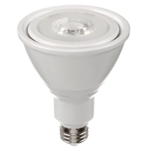 Ampoule DEL, PAR30, 10 W, 800 lumens, base Moyen PB Rental Co. Ltd.