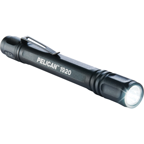 Lampes de poche ProGear 1920, DEL, 120 lumens, Piles AAA PB Rental Co. Ltd.