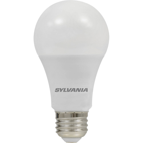 Ampoule DEL, A19, 8,5 W, 800 lumens, base Moyen PB Rental Co. Ltd.