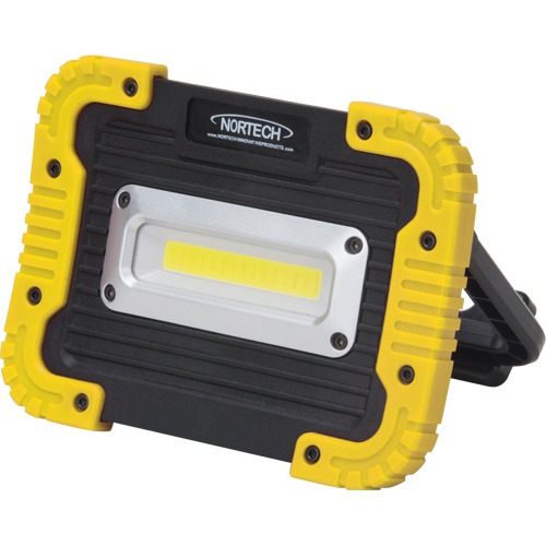 Portable Work Light, LED, 10 W, 1000 Lumens, Plastic Housing PB Rental Co. Ltd.