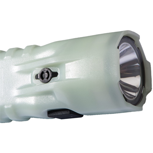 Flashlight, LED, 378 Lumens, AA Batteries PB Rental Co. Ltd.
