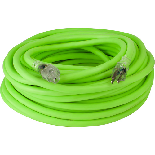 Cordon rallonge industriel Flexzilla Pro, Toutes saisons, SJTW, AWG 10/3, 15 A, 100' PB Rental Co. Ltd.