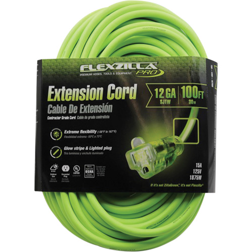 Cordon rallonge industriel Flexzilla Pro, Toutes saisons, SJTW, AWG 12/3, 15 A, 100' PB Rental Co. Ltd.
