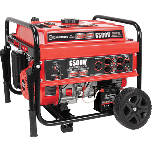 Electric Start Gas Generator with Wheel Kit, 6500 W Surge, 5000 W Rated, 120 V/240 V, 20 L Tank PB Rental Co. Ltd.