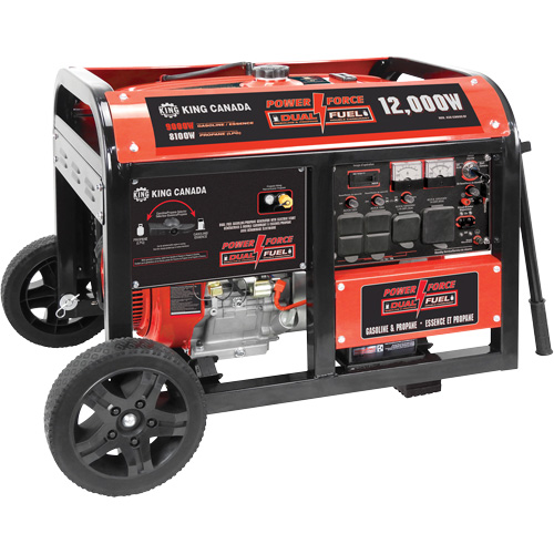 Gasoline/Propane Generator with Electric Start PB Rental Co. Ltd.
