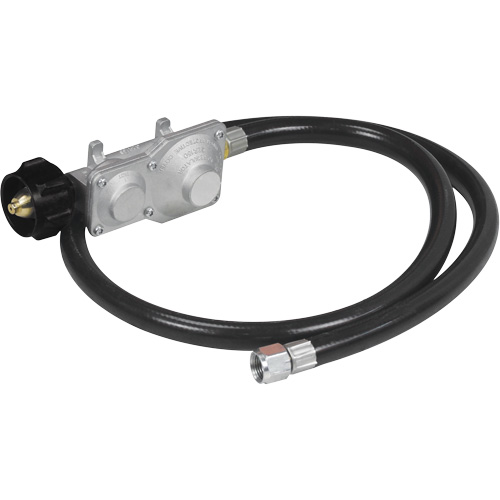 Gasoline/Propane Generator with Electric Start PB Rental Co. Ltd.