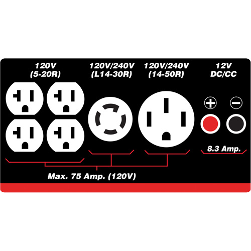 Gasoline/Propane Generator with Electric Start PB Rental Co. Ltd.
