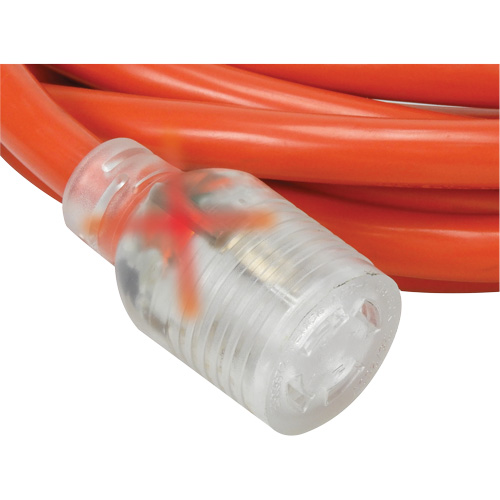 Generator Extension Cord with Quad Tap, Outdoor, 10 AWG, 30 A, 4 Outlet(s), 25' PB Rental Co. Ltd.