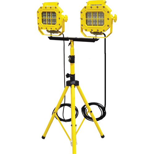 Explosion Proof Floodlight with Tripod, LED, 40 W, 5600 Lumens, Aluminum Housing PB Rental Co. Ltd.
