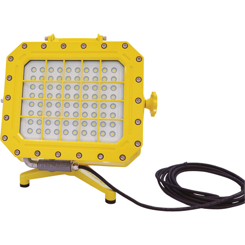 Explosion Proof Floodlight with Floor Stand, LED, 40 W, 5600 Lumens, Aluminum Housing PB Rental Co. Ltd.