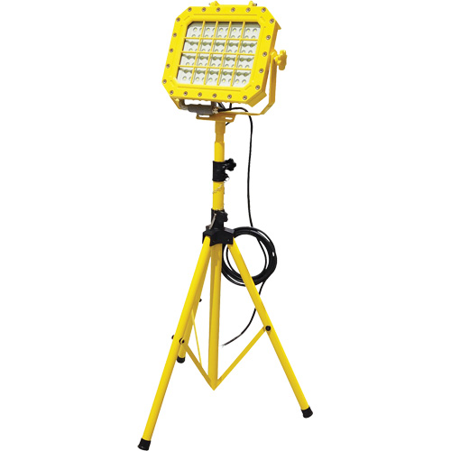 Explosion Proof Floodlight with Tripod, LED, 40 W, 5600 Lumens, Aluminum Housing PB Rental Co. Ltd.