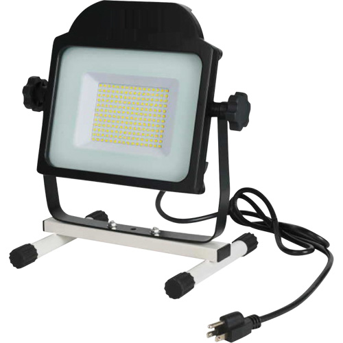 Floodlight, LED, 100 W, 10000 Lumens PB Rental Co. Ltd.