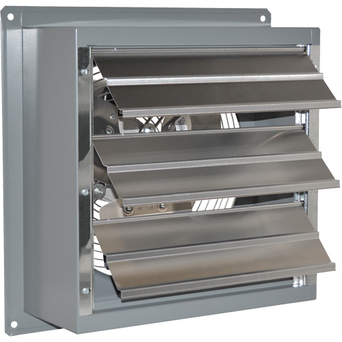 Ventilateur d'&eacute;chappement standard SD PB Rental Co. Ltd.