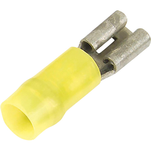 D&eacute;connecteurs rapides femelles en nylon de calibre 12 - 10 PB Rental Co. Ltd.