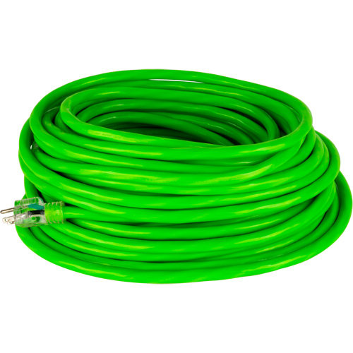 Cordon rallonge de calibre industriel, Toutes saisons, SJTW, AWG 10/3, 15 A, 100' PB Rental Co. Ltd.