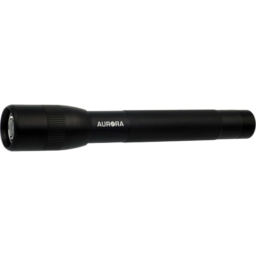 IPX4 Flashlight, 100 Lumens, AA Batteries PB Rental Co. Ltd.