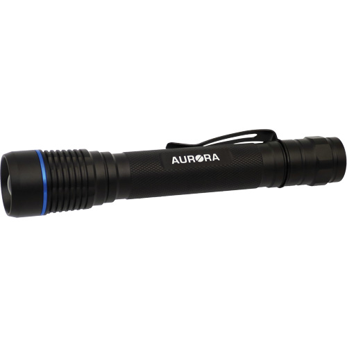 Lampe de poche IPX7, DEL, 250 lumens, Piles AA PB Rental Co. Ltd.