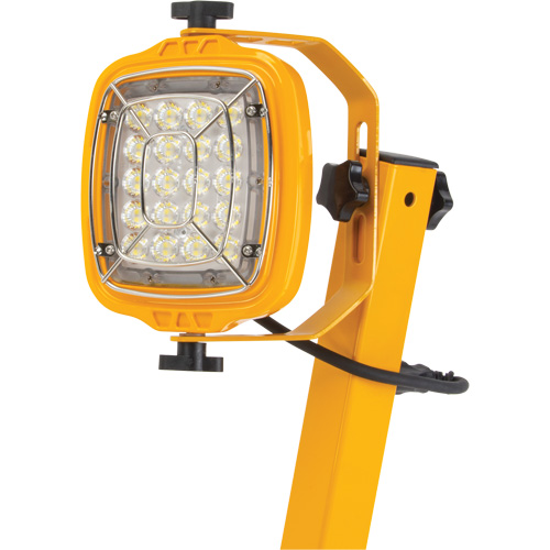 Lampe de quai, Bras 40", 50 W, Ampoule DEL, M&eacute;tal PB Rental Co. Ltd.