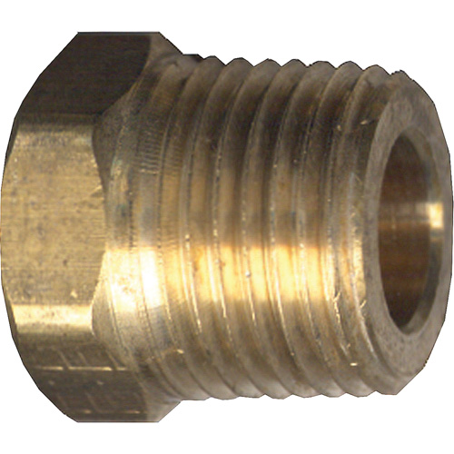 Hex Head Cored Plug, Pipe, 1/2" Dia., Brass PB Rental Co. Ltd.