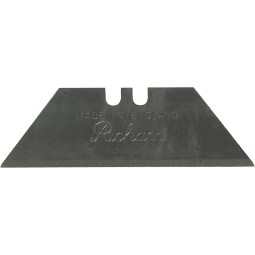 Replacement Blade, Single Style PB Rental Co. Ltd.