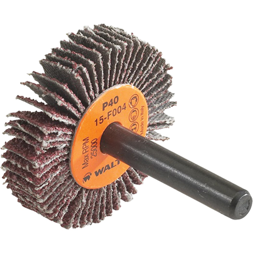 Disque &agrave; lamelles Coolcut, Oxyde d'aluminium, Grain 60, 1-1/2" x 3/8" x 1/4" PB Rental Co. Ltd.