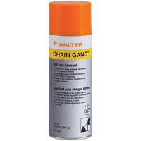 Chain Gang Lubricant, Aerosol Can PB Rental Co. Ltd.
