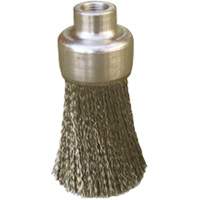 Flat, Round or Roto Brushes PB Rental Co. Ltd.