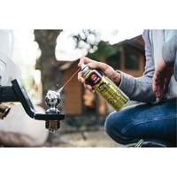 3-in-One&reg; Trailer Hitch Gel Lube, Aerosol Can PB Rental Co. Ltd.