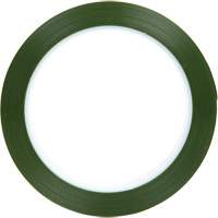 Polyester Tape, Polyester, 50.8 mm (2") W x 66 m (216') L, 1.9 mils Thick PB Rental Co. Ltd.