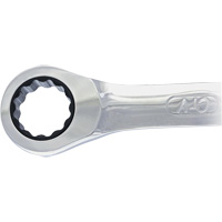 Non-Reversing Ratcheting Combination Wrench PB Rental Co. Ltd.