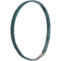 Scotch-Brite Surface Conditioning File Belts PB Rental Co. Ltd.