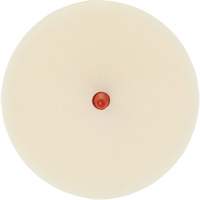 Scotch-Brite Moulding Adhesive & Stripe Removal Disc, 7501, 4" Dia. PB Rental Co. Ltd.